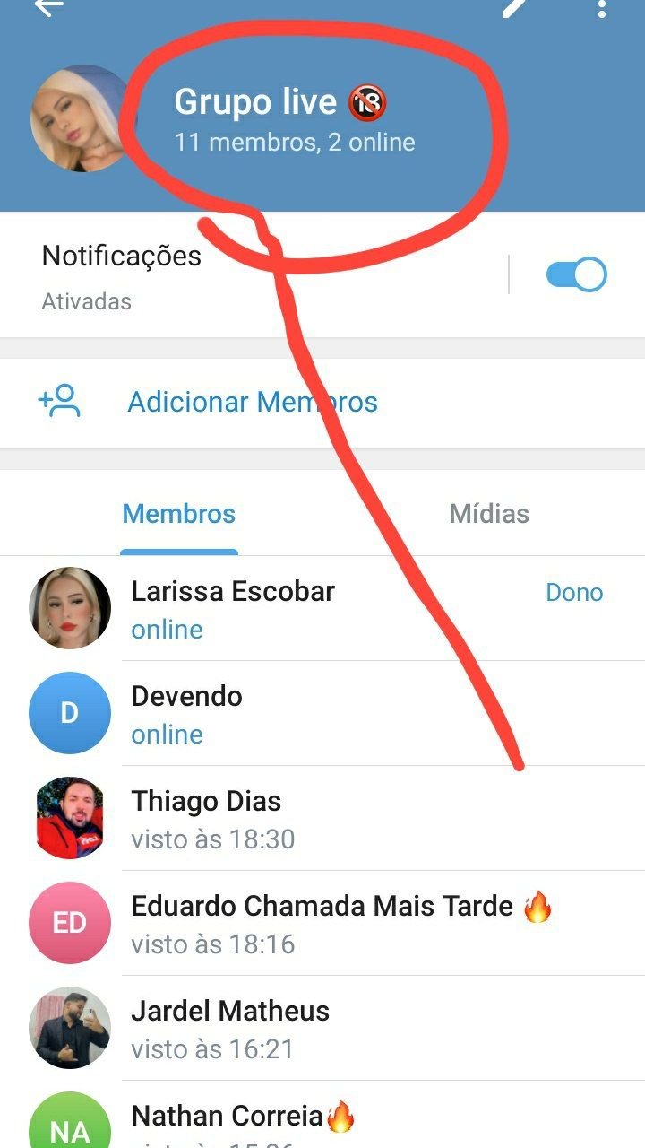 Lariii_escobar alguém tem as Live dela ou vídeo com amiga dela??? #a1jEbW43